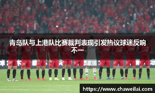 青岛队与上港队比赛裁判表现引发热议球迷反响不一